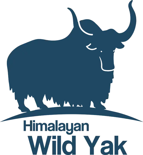 Himalayan Wild Yak